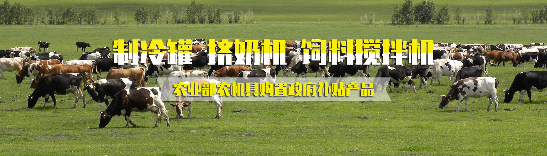 国产麻豆视频免费在线观看机械